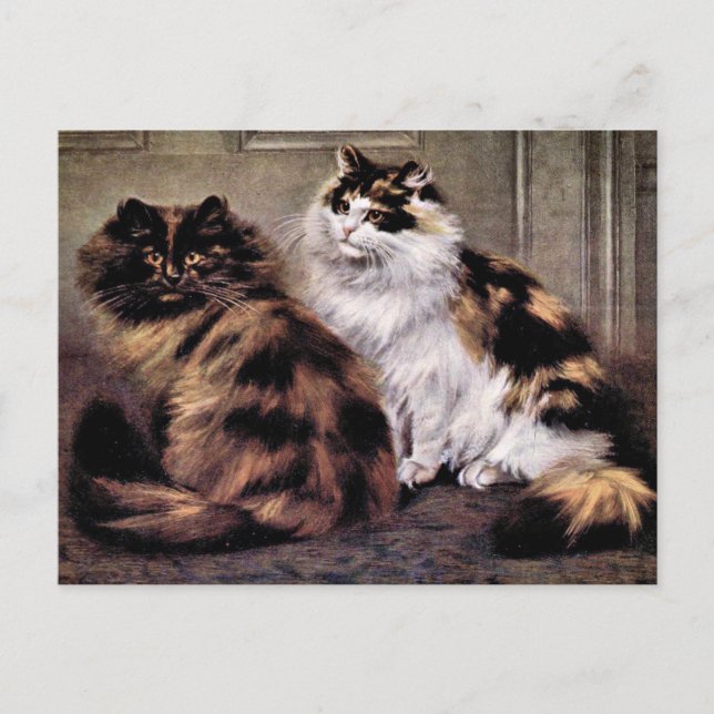 Tortoiseshell Persian Cats Art Postcard (Front)