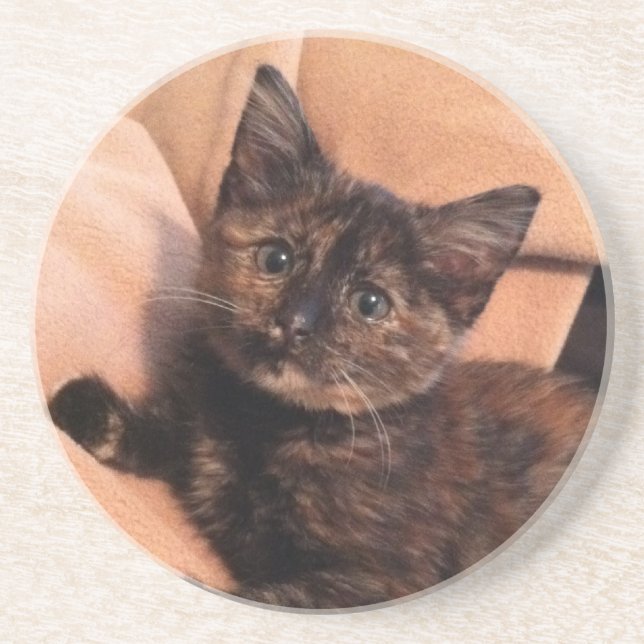 Tortoiseshell, Tortie, Tortie Kitten, Kitten, Cat, Coaster (Front)