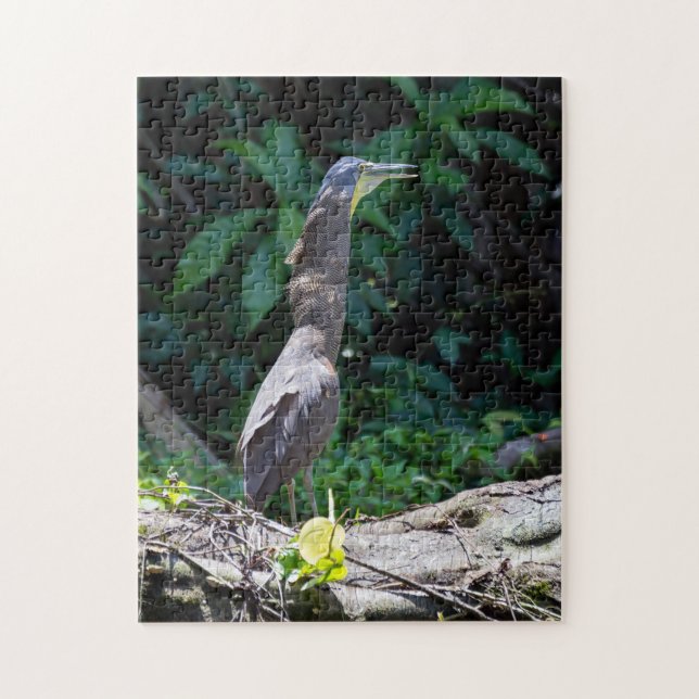 Tortuguero, Costa Rica - Bare-Throated Tiger Heron Jigsaw Puzzle (Vertical)
