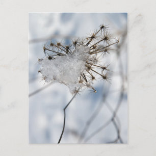 tortured heart postcard