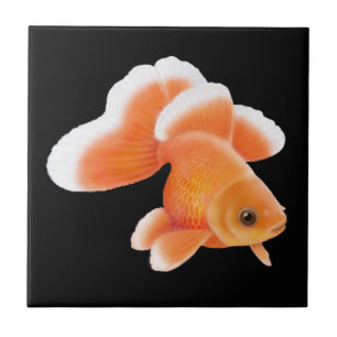 Tosakin Fantail Goldfish Tile