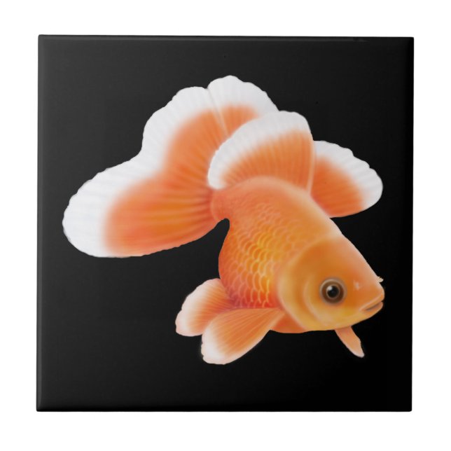 Tosakin Fantail Goldfish Tile (Front)