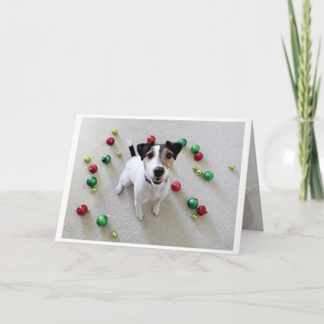 Tossed Ornaments Jack Russell Terrier card (Front)