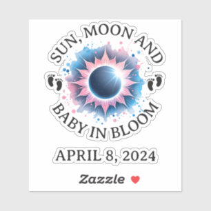 Total Solar Eclipse 2024 Pregnancy Announcement