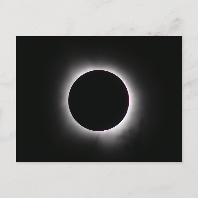 Total Solar Eclipse April 8, 2024 Postcard (Front)