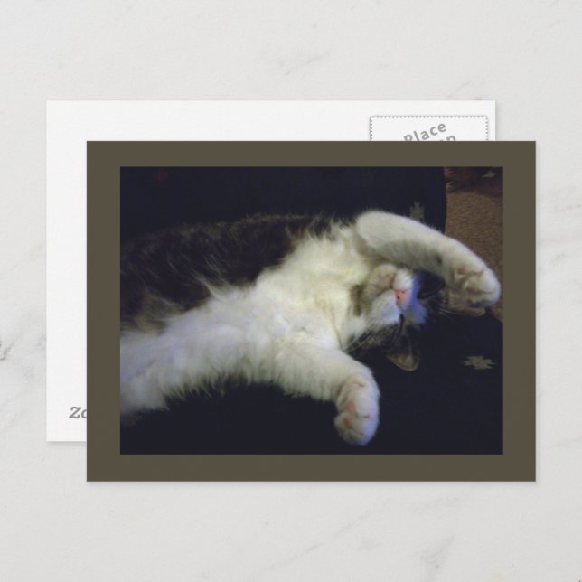 Totally Chillin' Postcard (Front/Back)