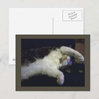 Totally Chillin' Postcard