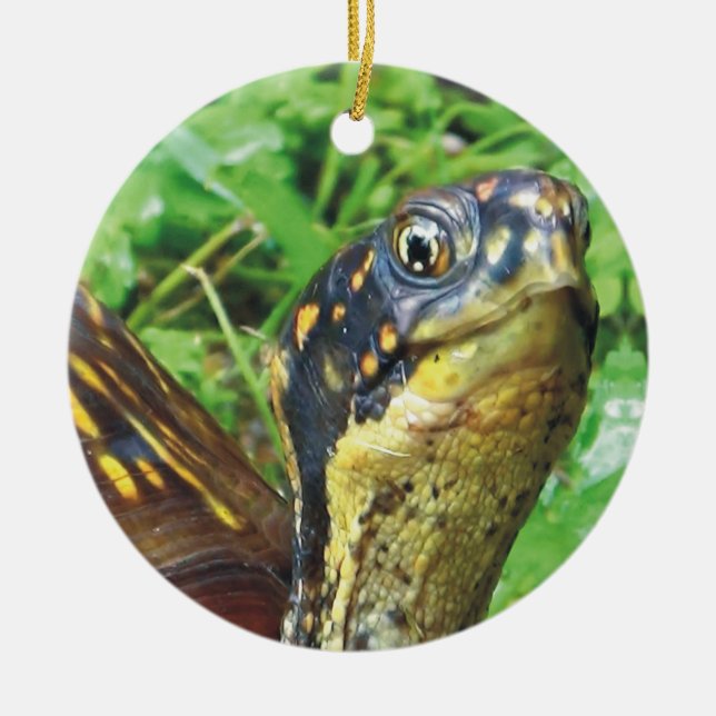 Totally Turtles Turtle Christmas Ornament (Front)