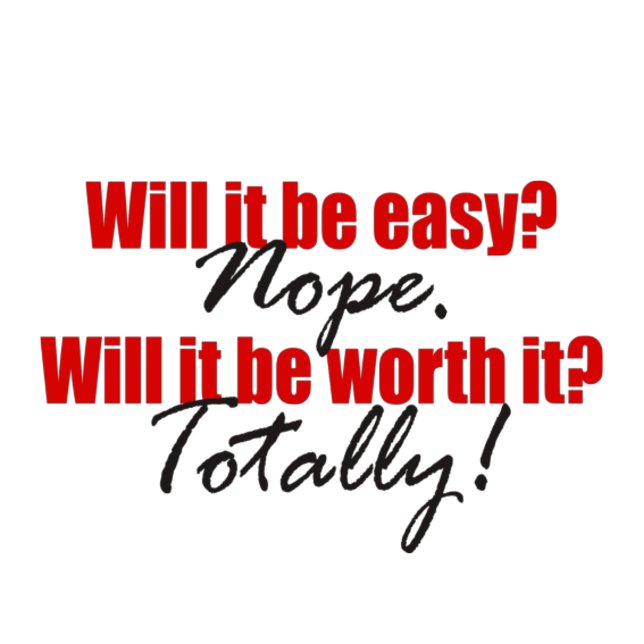 Totally Worth It!  Magnet (Creator Uploaded)