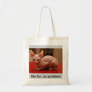 tote with a cute sphynx kitten