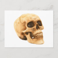 Totenkopf Schädel skull