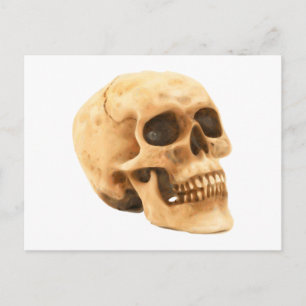Totenkopf Schädel skull Postcard