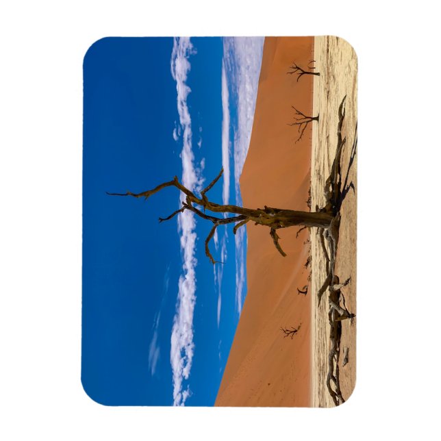 Toter Baum in Deadvlei Magnet (Vertical)