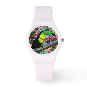 Toucan 4 Watch & Numeral Options
