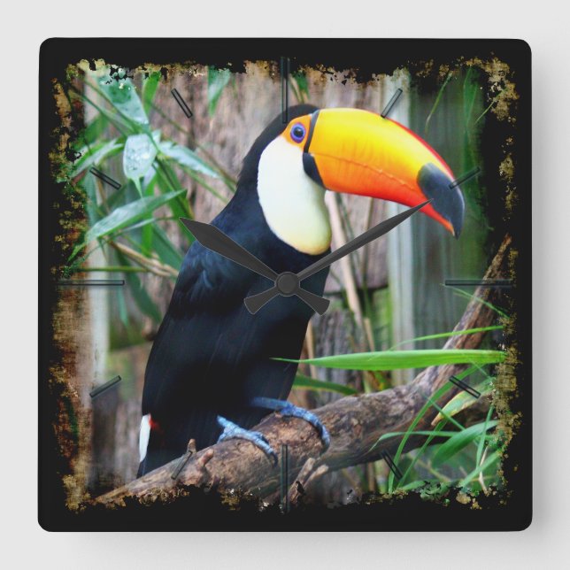 Toucan 5A Wall Clocks & Numeral Options (Front)