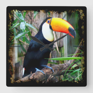 Toucan 5A Wall Clocks & Numeral Options