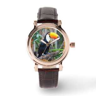 Toucan 5B Watch Options