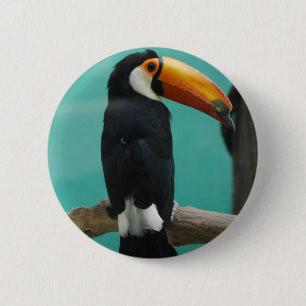 Toucan 6 Cm Round Badge