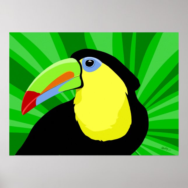 Toucan Art Posters and Prints (Front)