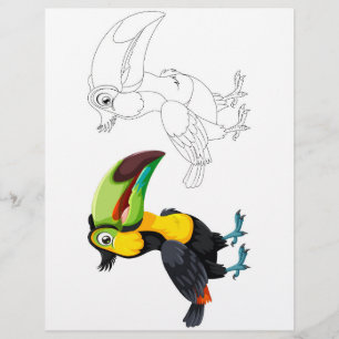 toucan bird colouring page