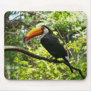 toucan, bird, exotic mouse pad