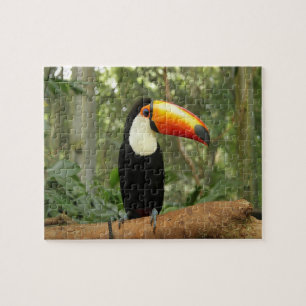 Toucan bird on tree branch jigsaw puzzle