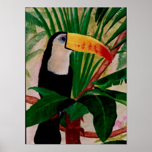 Toucan Bird South American Jungle Bird Art Poster