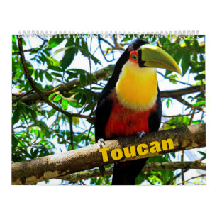 Toucan Birds Calendar