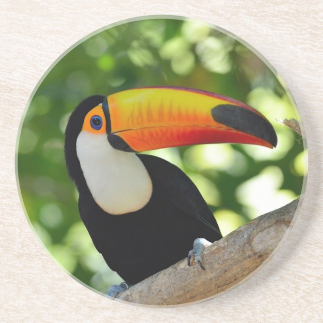 Toucan Coaster (Front)