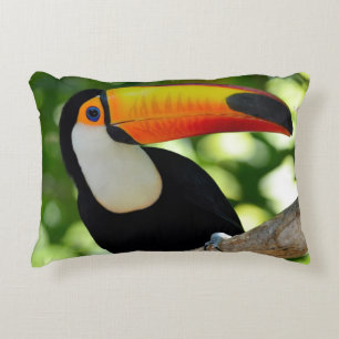 Toucan Decorative Cushion