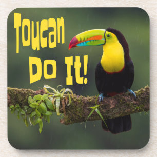 Toucan Do It! Colourful Bird Motivational Funny Coaster