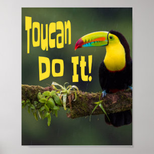 Toucan Do It! Colourful Bird Motivational Funny Poster