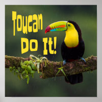 Toucan Do It! Colourful Bird Motivational Funny Pu
