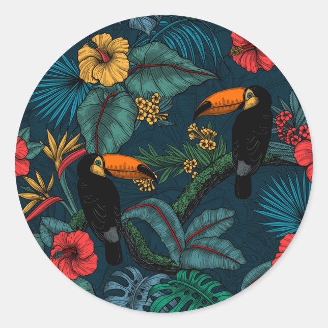 Toucan garden 2 classic round sticker (Front)