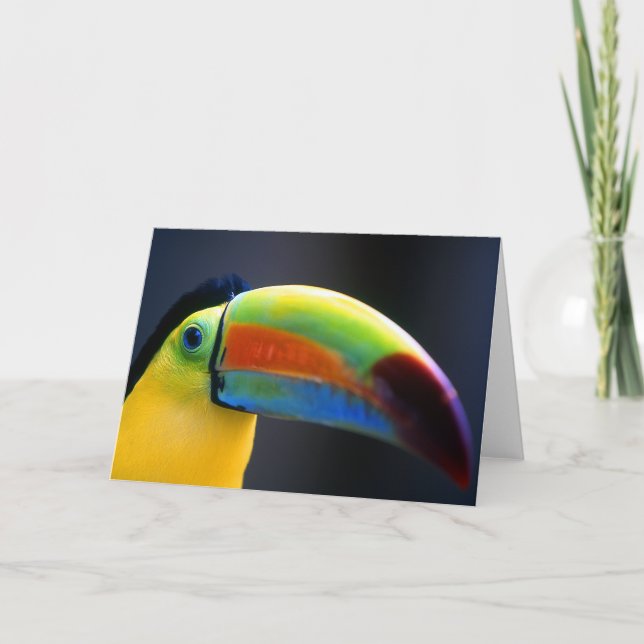 Toucan-Greeting card (Front)