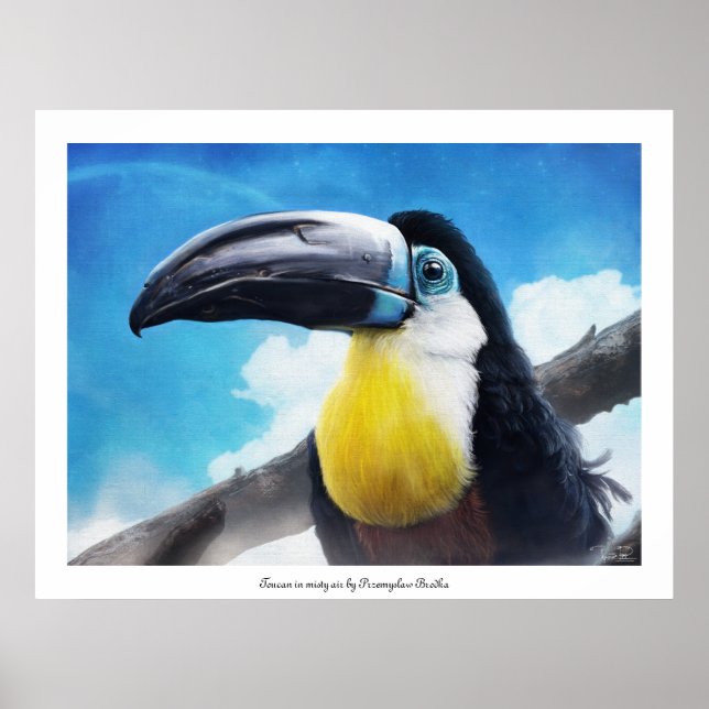 Toucan  in misty air poster (Front)