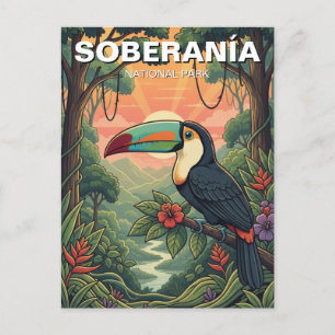 Toucan in Soberania National Park Panama  Postcard