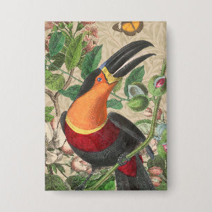 Toucan Jungle Tropical Bird Beautiful Antique