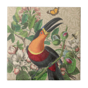 Toucan Jungle Tropical Bird Beautiful Antique Ceramic Tile