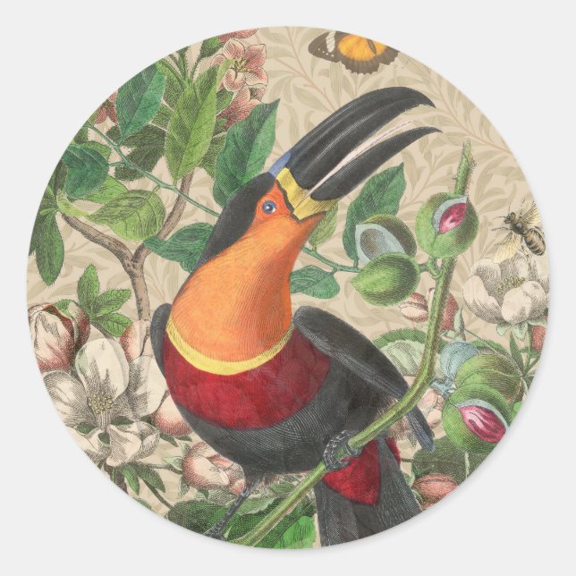 Toucan Jungle Tropical Bird Beautiful Antique Classic Round Sticker (Front)