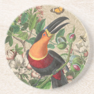 Toucan Jungle Tropical Bird Beautiful Antique Coaster