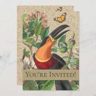 Toucan Jungle Tropical Bird Beautiful Antique Invitation
