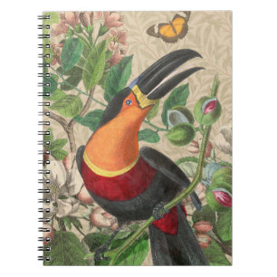 Toucan Jungle Tropical Bird Beautiful Antique Notebook
