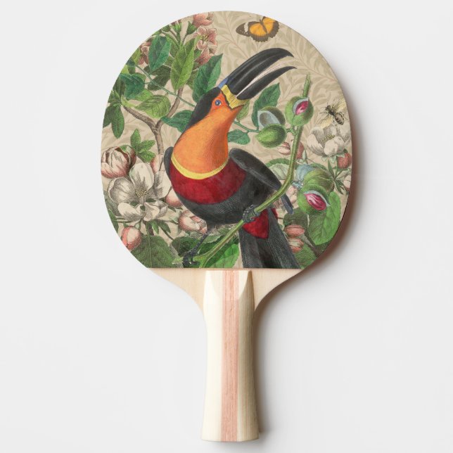 Toucan Jungle Tropical Bird Beautiful Antique Ping Pong Paddle (Front)