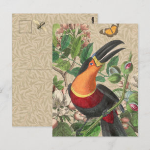 Toucan Jungle Tropical Bird Beautiful Antique Postcard