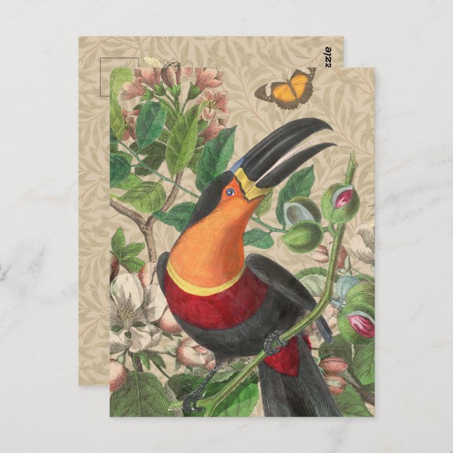 Toucan Jungle Tropical Bird Beautiful Antique Postcard (Front/Back)