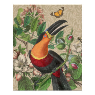 Toucan Jungle Tropical Bird Beautiful Antique Poster