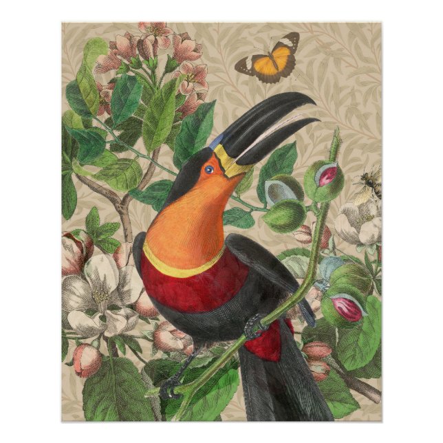 Toucan Jungle Tropical Bird Beautiful Antique Poster (Front)