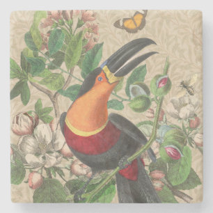 Toucan Jungle Tropical Bird Beautiful Antique Stone Coaster