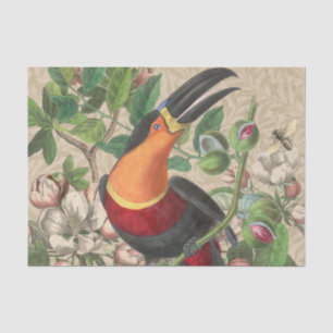 Toucan Jungle Tropical Bird Beautiful Antique Tissue Paper